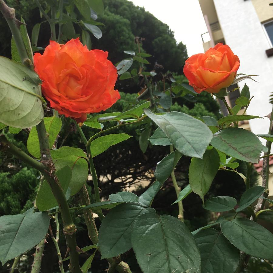 Charmant Hotel Mokpo Εξωτερικό φωτογραφία
